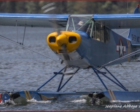 TSR Watermark - 0253